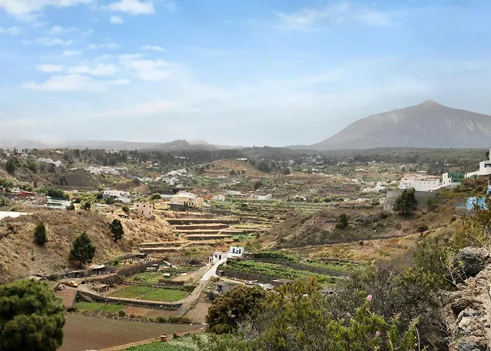 Tazana *